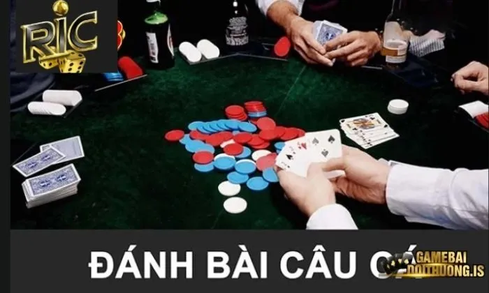 Quy tắc chia bài tại câu cá Ric