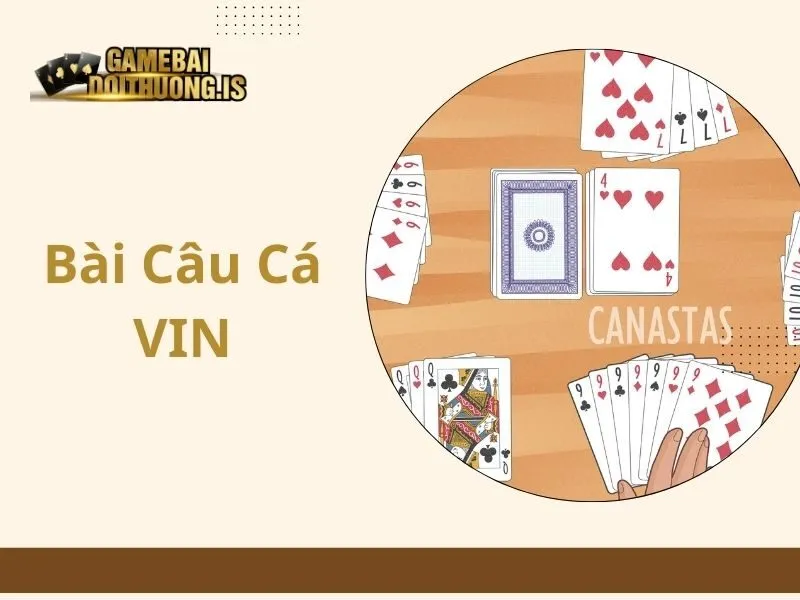Bài câu cá VIN