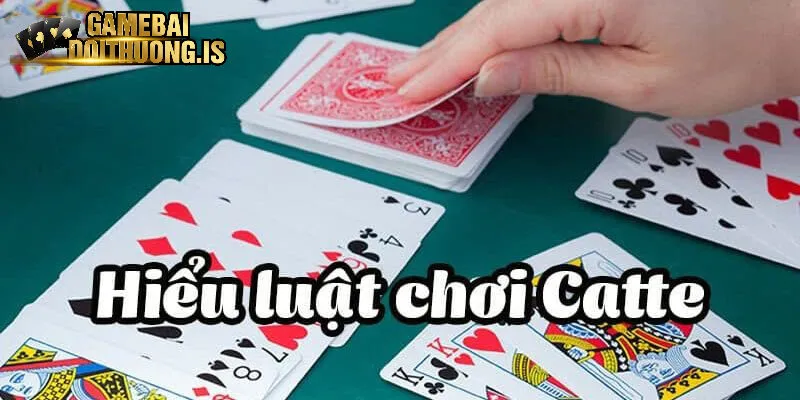 Hiểu rõ về luật chơi từng loại bài Catte