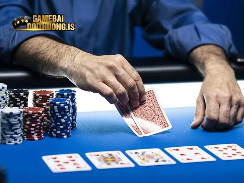 Đánh bài May88 được tổ chức chuyên nghiệp