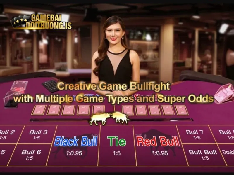 Lưu ý về rủi ro khi cá cược game bài ngầu hầm