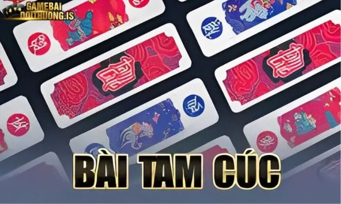 Điểm nổi bật tại Tam Cúc Mayclub