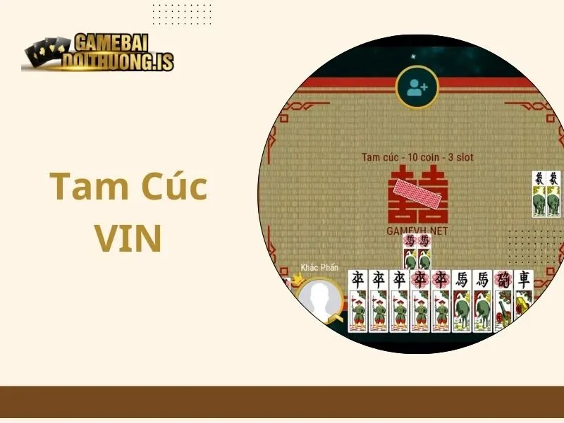 Tam Cúc VIN