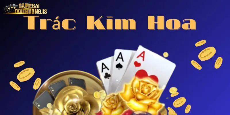 Trác kim hoa macau